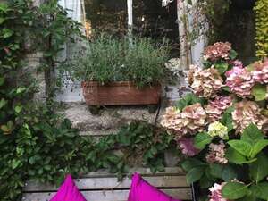 Image 39